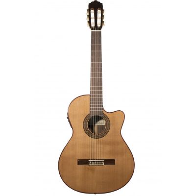 ALTAMIRA N300CE Clásica Electrificada Cut-Away