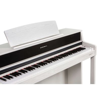 Pack Kurzweil Cup-410 Blanco