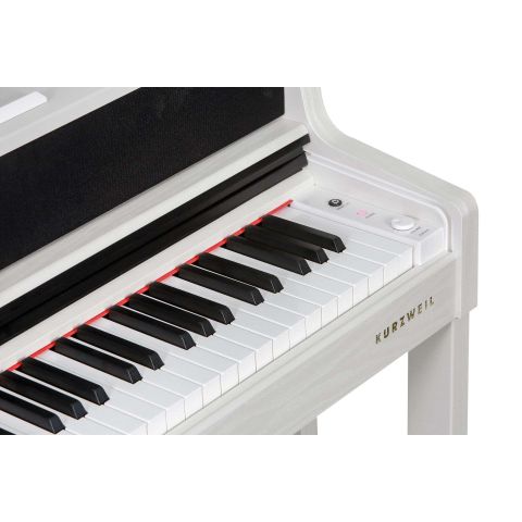 Pack Kurzweil Cup-410 Blanco