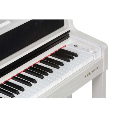 Pack Kurzweil Cup-410 Blanco