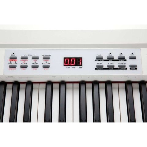 Kurzweil KA-90 con Soporte y Pedalera