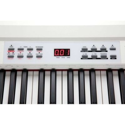 Kurzweil KA-90 con Soporte y Pedalera