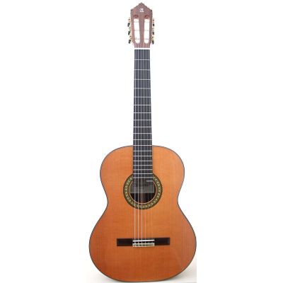 Alhambra 11 de Palosanto luthier con estuche y cuatro años de garantía 2