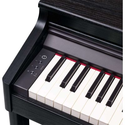 Roland Rp-701 R CB Negro