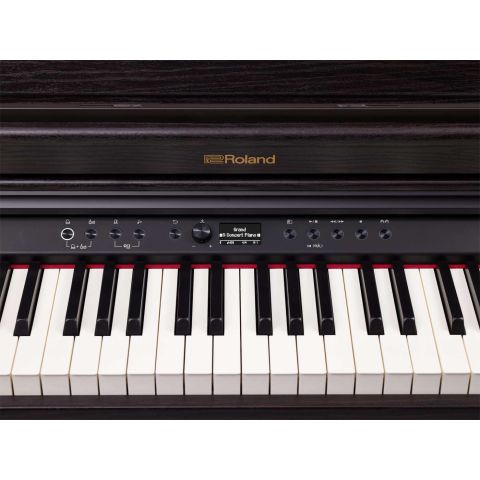 Roland Rp-701 DR Palisandro