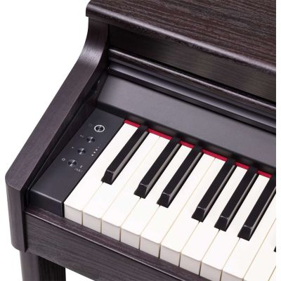 Roland Rp-701 DR Palisandro
