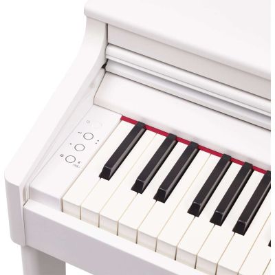 Roland Rp-701 WH Blanco