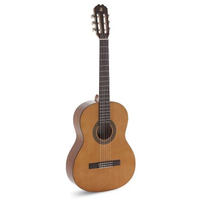 Pack Admira Paloma Estudio 2