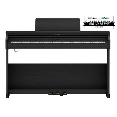 Roland Rp-701 R CB Negro