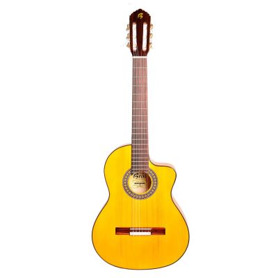 Francisco Bros B20F Flamenca Electrificada Fishman