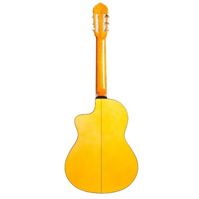 Francisco Bros B30F Flamenca Electrificada Fishman 2