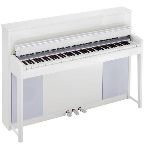Kurzweil Cup-1 Blanco Pulido