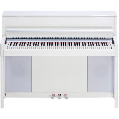 Kurzweil Cup-1 Blanco Pulido 2