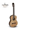 Guitarra Paco Castillo 201 mate en Promúsica