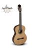 Guitarra Paco Castillo 201 brillo en Promúsica