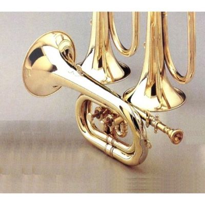 HONSUY 70750 CORNETA CORTA 2 PISTONES