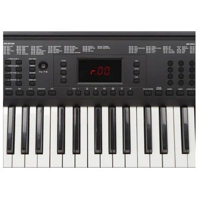 PROKEYS LI105 Teclado 5 octavas con iluminación en las teclas 2