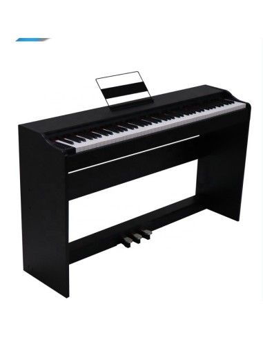 Piano de 88 teclas mueble y pedalera ProKeys S55 Negro