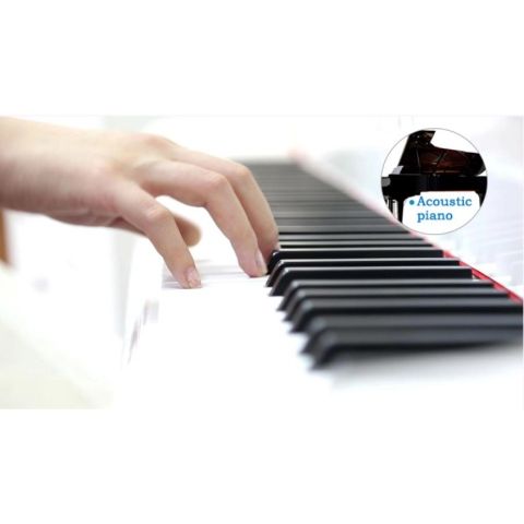 Pack PROKEYS S-55 BK Piano 7 octavas...