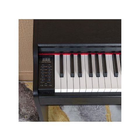 Pack PROKEYS S-55 BK Piano 7 octavas...