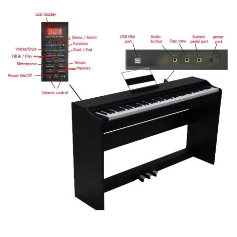 Pack PROKEYS S-55 WH Piano 7 octavas...