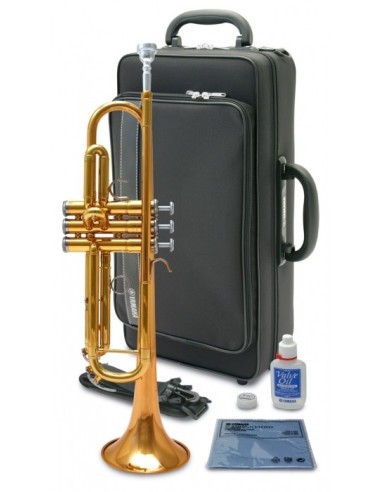 Trompeta Yamaha Ytr4335 dorada con estuche y accesorios
