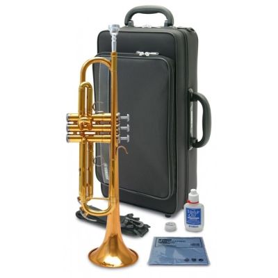 Trompeta Yamaha Ytr4335 dorada con estuche y accesorios