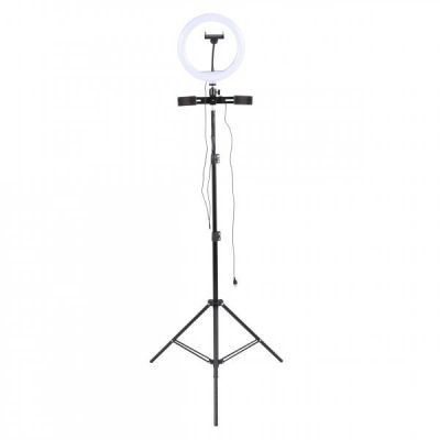 APG RL1055Y Aro de Luz con soporte