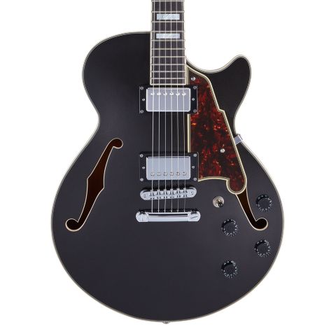 D'Angelico Premier SS Black Flake...