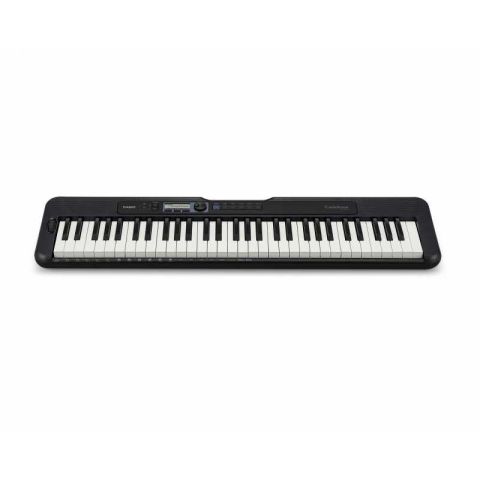 CASIO CT S-300