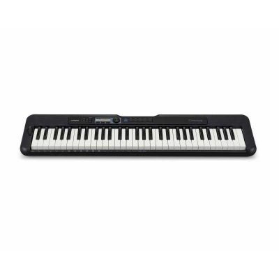 CASIO CT S-300