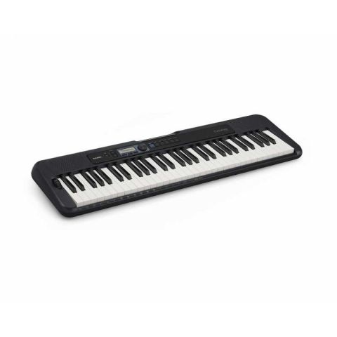 CASIO CT S-300
