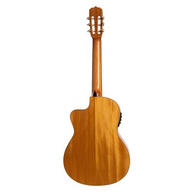 Enrique Palacios Ep-300 Cw Flamenca Electrificada trasera