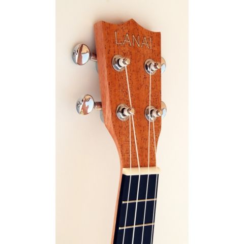 EGMOND C380.100V UKELELE CONCIERTO CON TAPA MACIZA SAPELI PALA