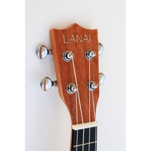 EGMOND C380.105V UKELELE CONCIERTO CON TAPA MACIZA CAOBA pala