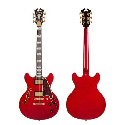 D'Angelico Excel Mini DC Trans Cherry Japan front back