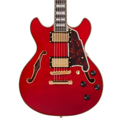 D'Angelico Excel Mini DC Trans Cherry Japan cuerpo
