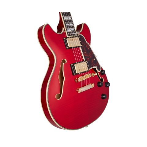 D'Angelico Excel Mini DC Trans Cherry Japan semicaja