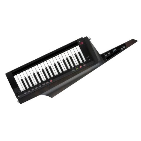 KORG RK-100S 2 BK TECLADO...