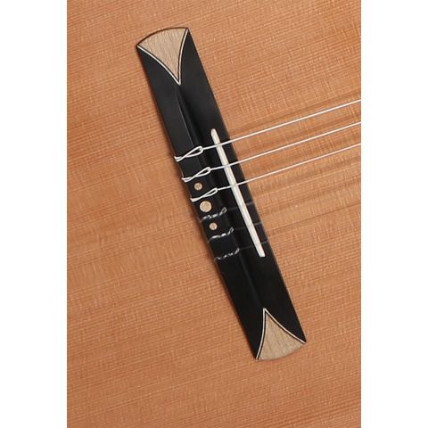 Alhambra CS-1 CW ELECTRIFICADA FISHMAN E1