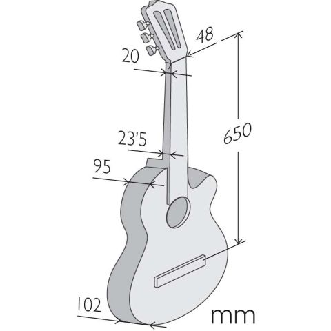 Alhambra CS-1 CW ELECTRIFICADA FISHMAN E1