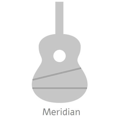 Alhambra CS-1 CW ELECTRIFICADA FISHMAN E1
