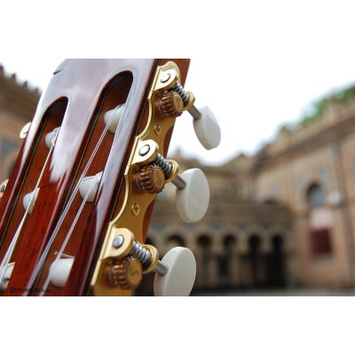 Alhambra Linea Profesional
