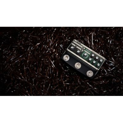 BOSS RE-202 Space Echo pedal efectos