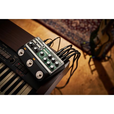 BOSS RE-202 Space Echo pedalera