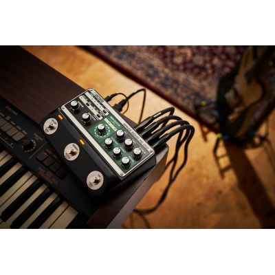 BOSS RE-202 Space Echo pedalera