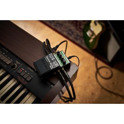BOSS RE-2 Space Echo pedal