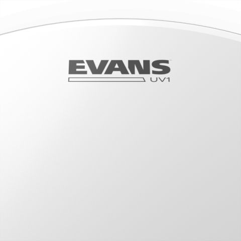 Evans 14" UV1 B14UV1