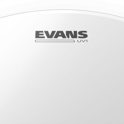 Evans 14" UV1 B14UV1