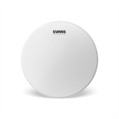 Evans 14" G2 Coated B14G2